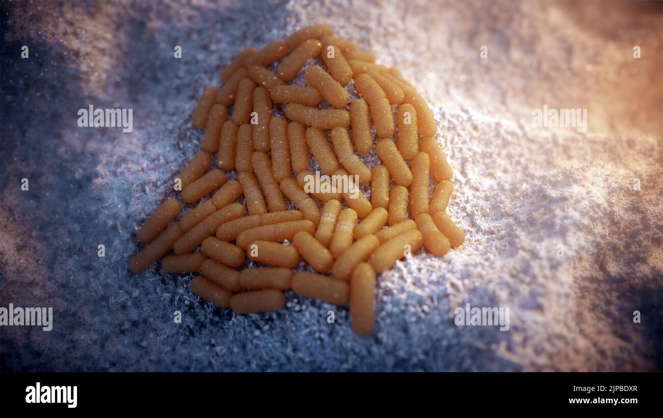Bacterial replication, illustration Stock Photo - Alamy