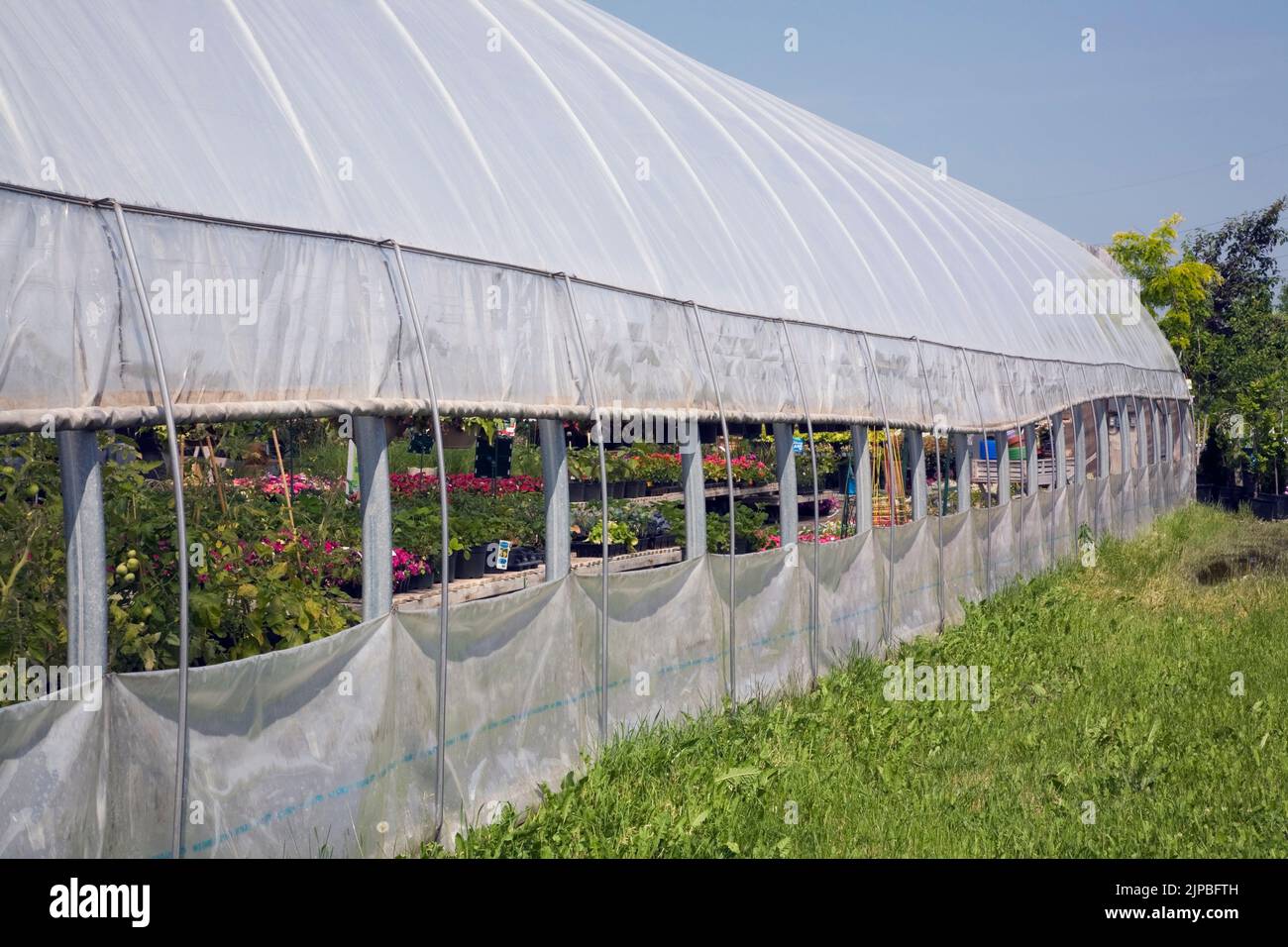 Film greenhouse interior spring hi-res stock photography and images - Alamy