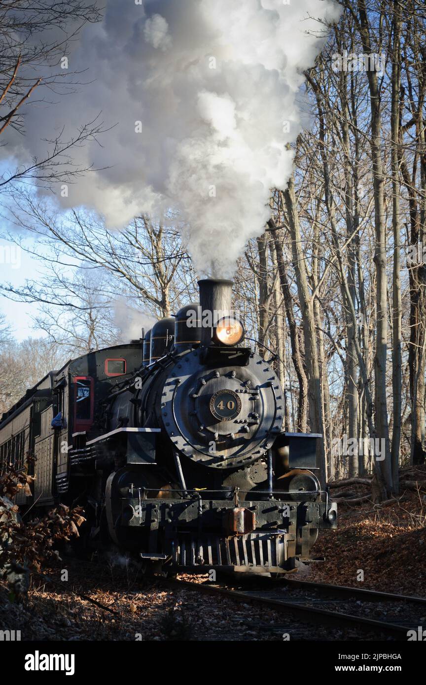 1920 Steam Locomotive leads vintage Pullman cars through woods in southern New England, Stock Photo