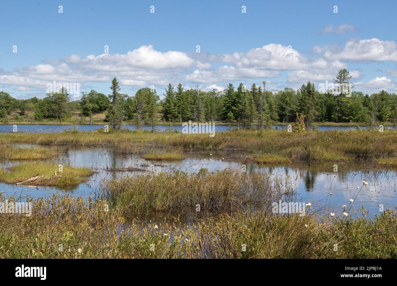 Wetlands and surrounding vegetation at Torrance Barrens nature preserve in Muskoka. Stock Photo