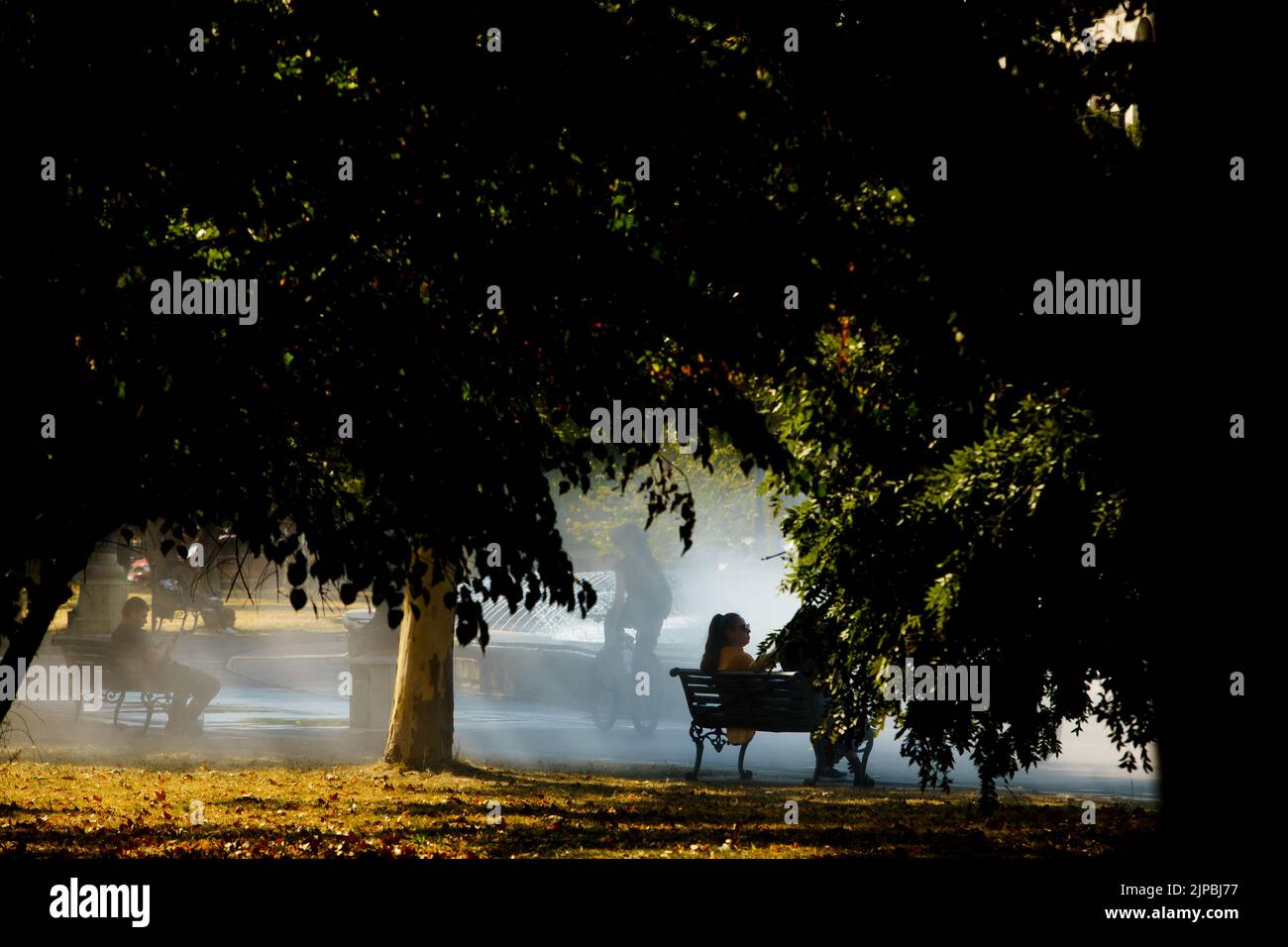 Bucharest, Romania - August 11, 2022: People walk under the trees near ...