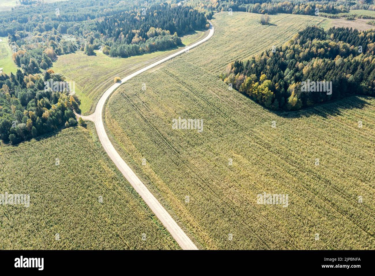 aerial view of winding country road between wheat fields. summer landscape on sunny day. Stock Photo