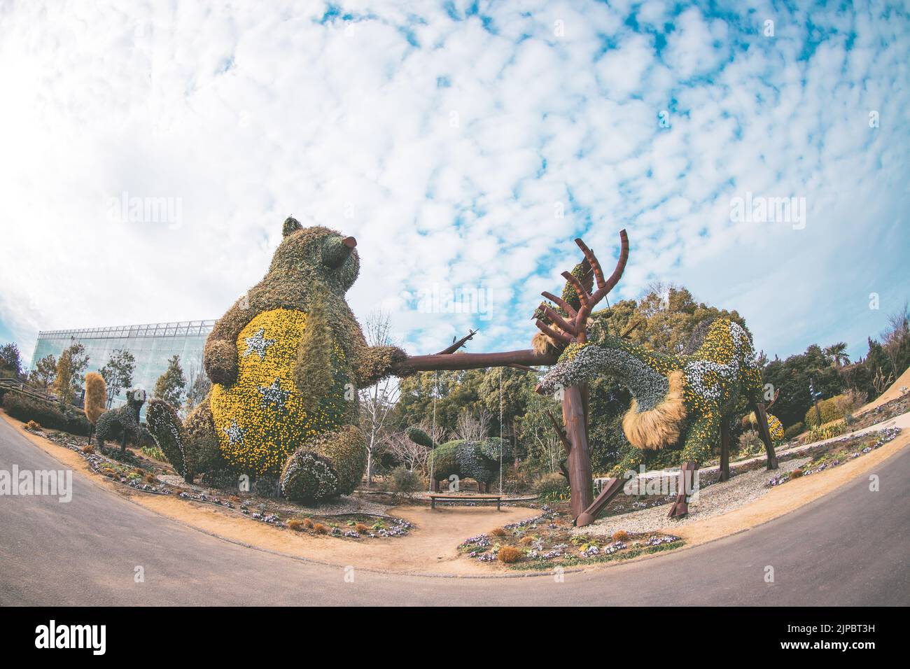 Hamamatsu Flower Park｜Japan Stock Photo Alamy