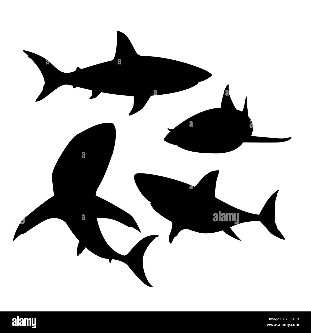 Hand drawn animals silhouette shark fish set Vector illustration Stock