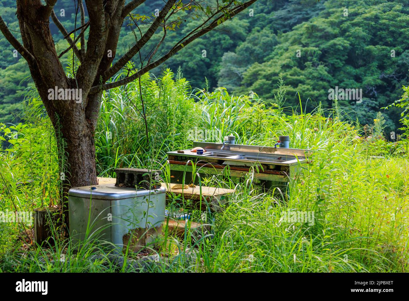 Outdoor kitchen under tree amid tall grass Stock Photo Alamy
