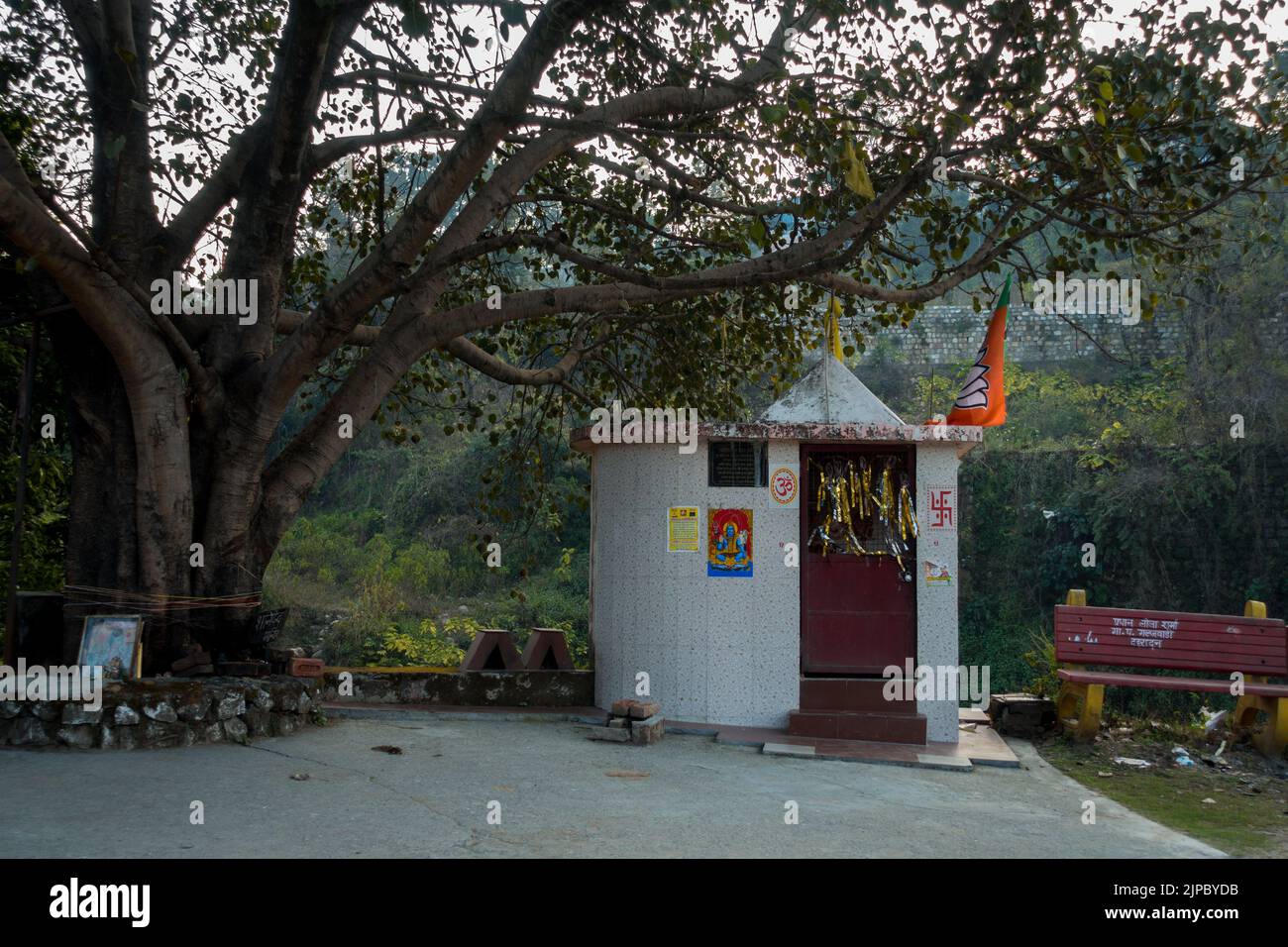 February 13th 2022 Dehradun India. A wide angle shot of a small temple in north India beneath a Fig or peepal Tree. Stock Photo