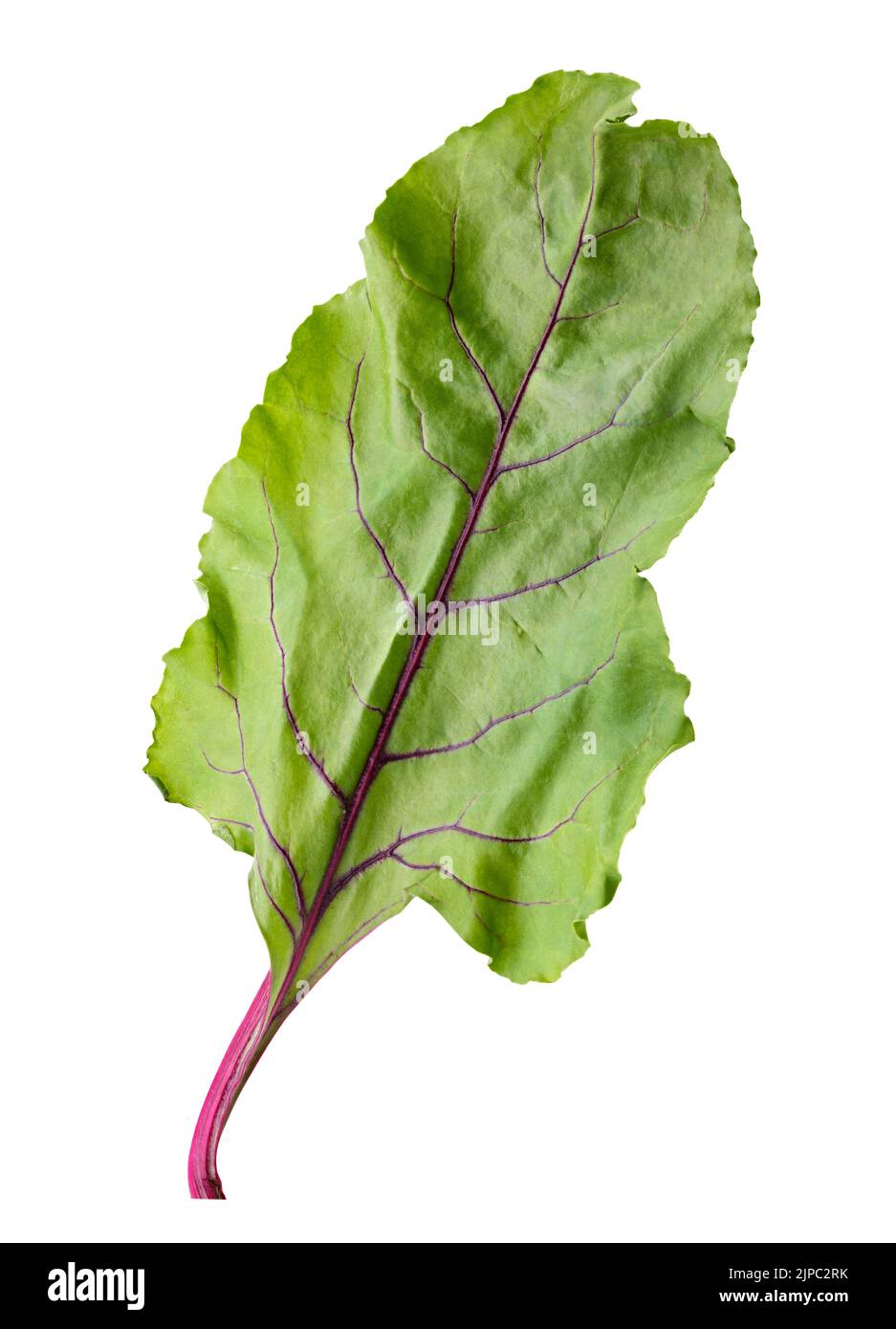 Beetroot lief isolated on white background. Clipping path Stock Photo