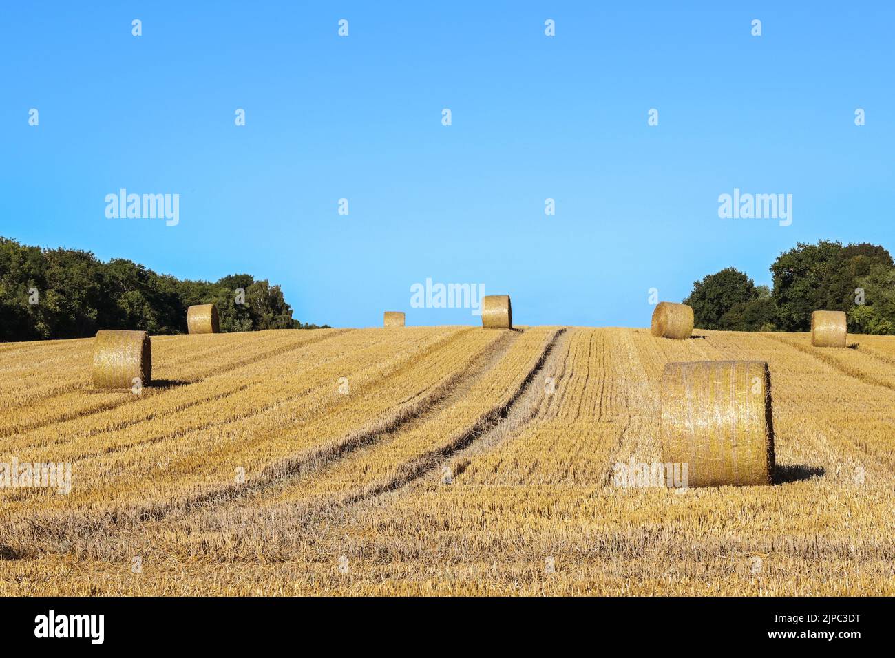 Stubble field with rolled up round bales of straw after harvest under a ...