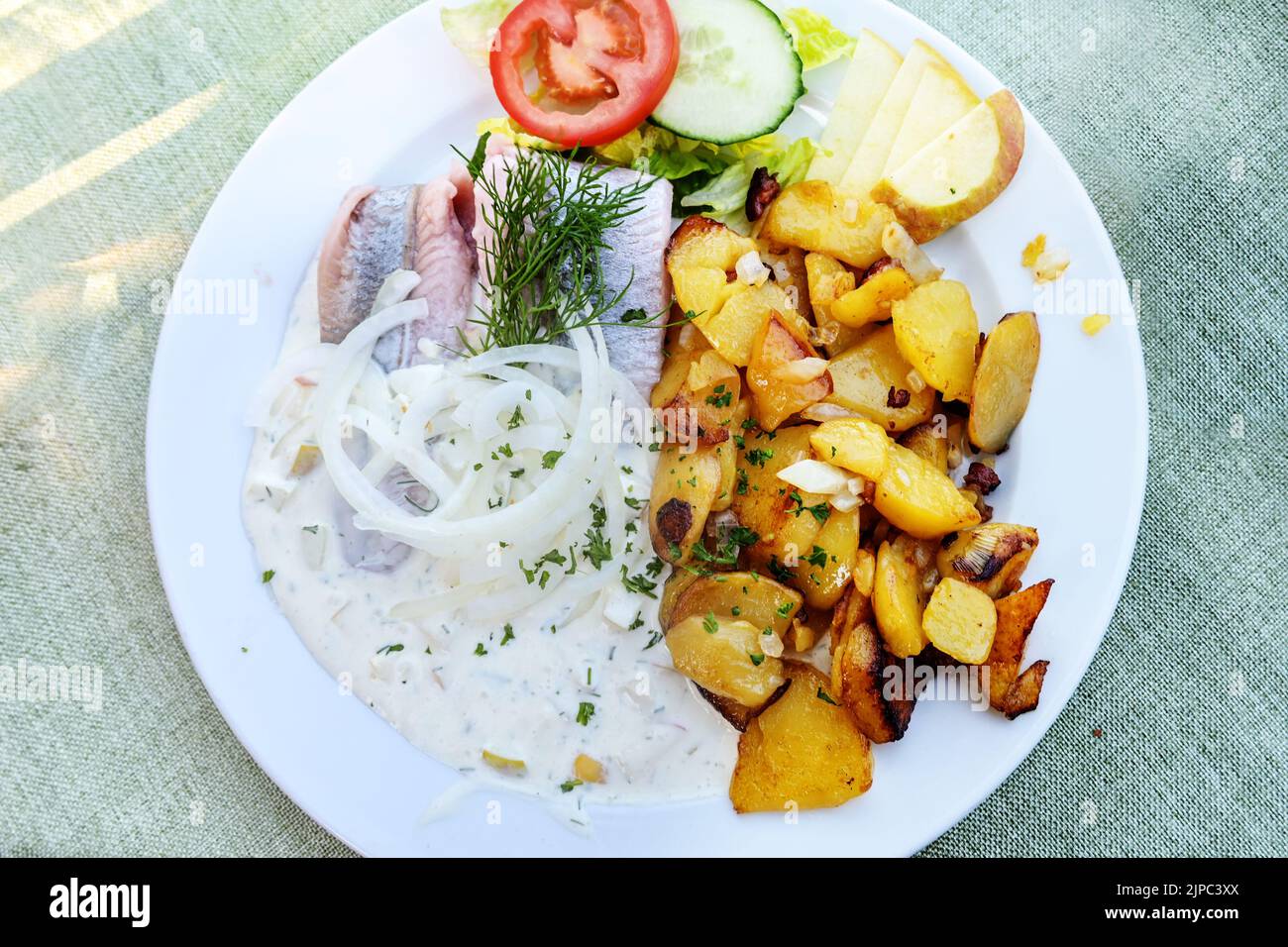 Matjes fillet or soused herring with cream sauce and onions, served with fried potatoes and salad on a white plate, copy space, view from above, selec Stock Photo