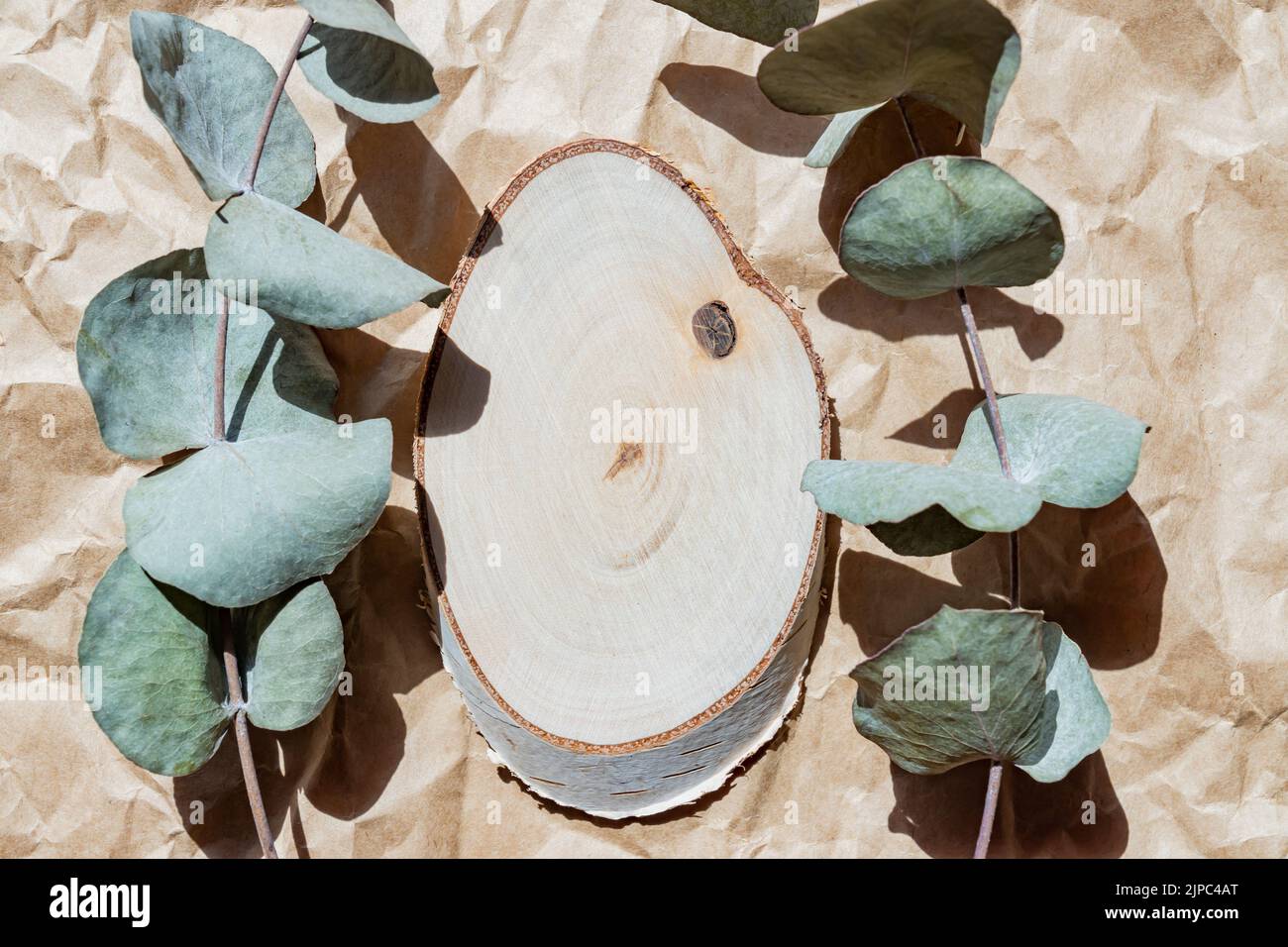 Top view of empty wooden cut with eucalyptus leaves on paper craft