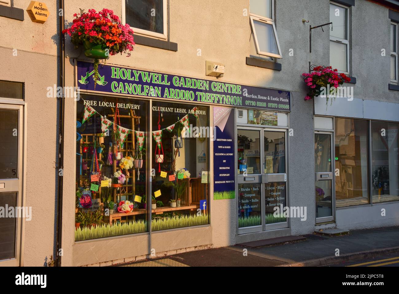 Holywell garden centre hires stock photography and images Alamy