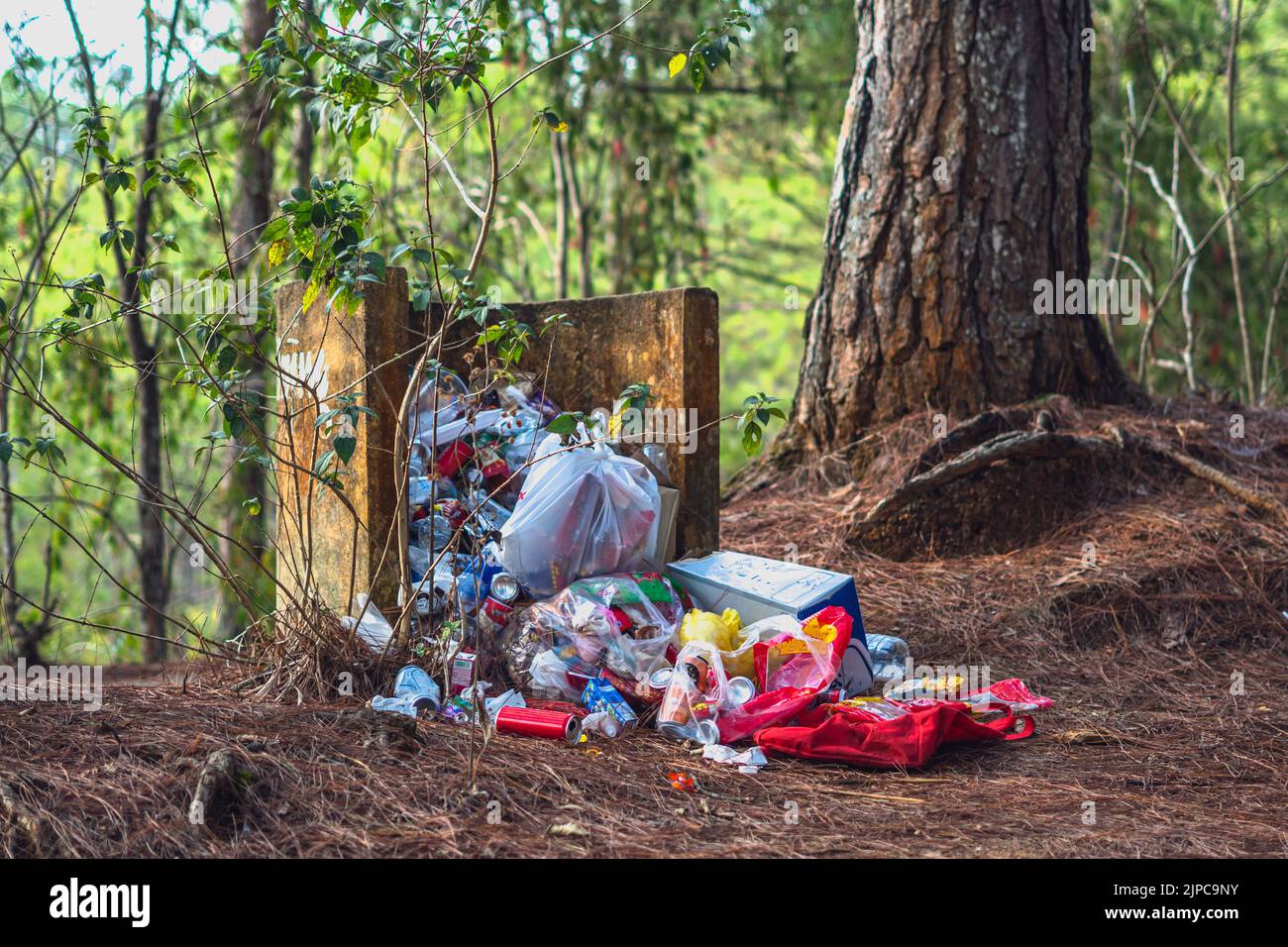 Dump in forest summer park. Overflowing concrete trash can. No control