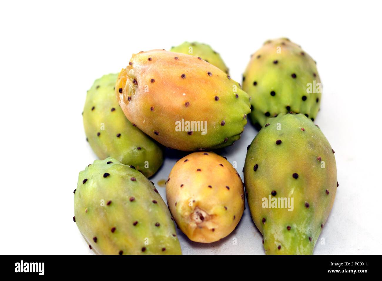 Opuntia, commonly called prickly pear, Barbary fig, tuna fruit, sabra