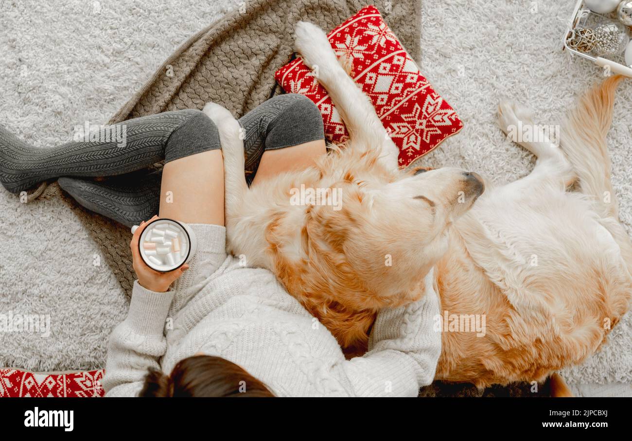 Girl with cocoa and golden retriever dog Stock Photo Alamy
