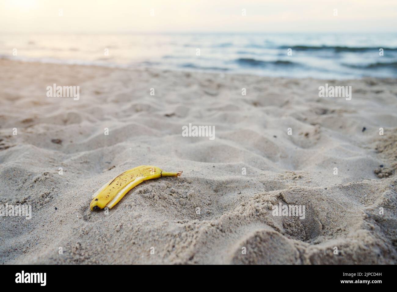 banana peel lying on the sand beach. beach pollution Stock Photo