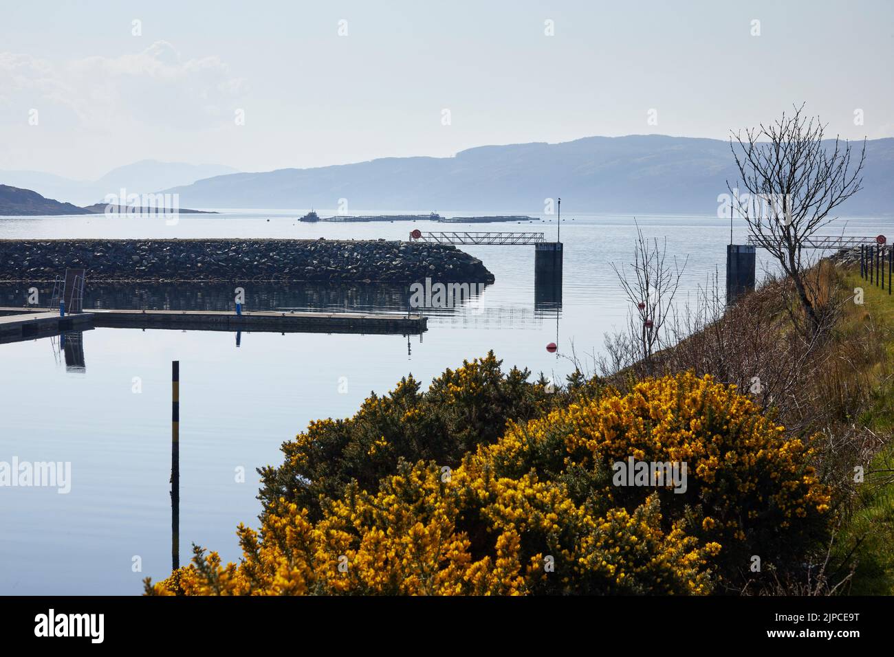 The entrance to the harbour on a bright and calm March morning, Portavadie Marina on Loch Fyne on the west coast of Scotland Stock Photo