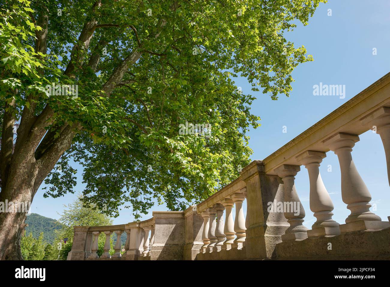 Tree With Railing A maple tree and concrete railings with trees and blue sky in the ...