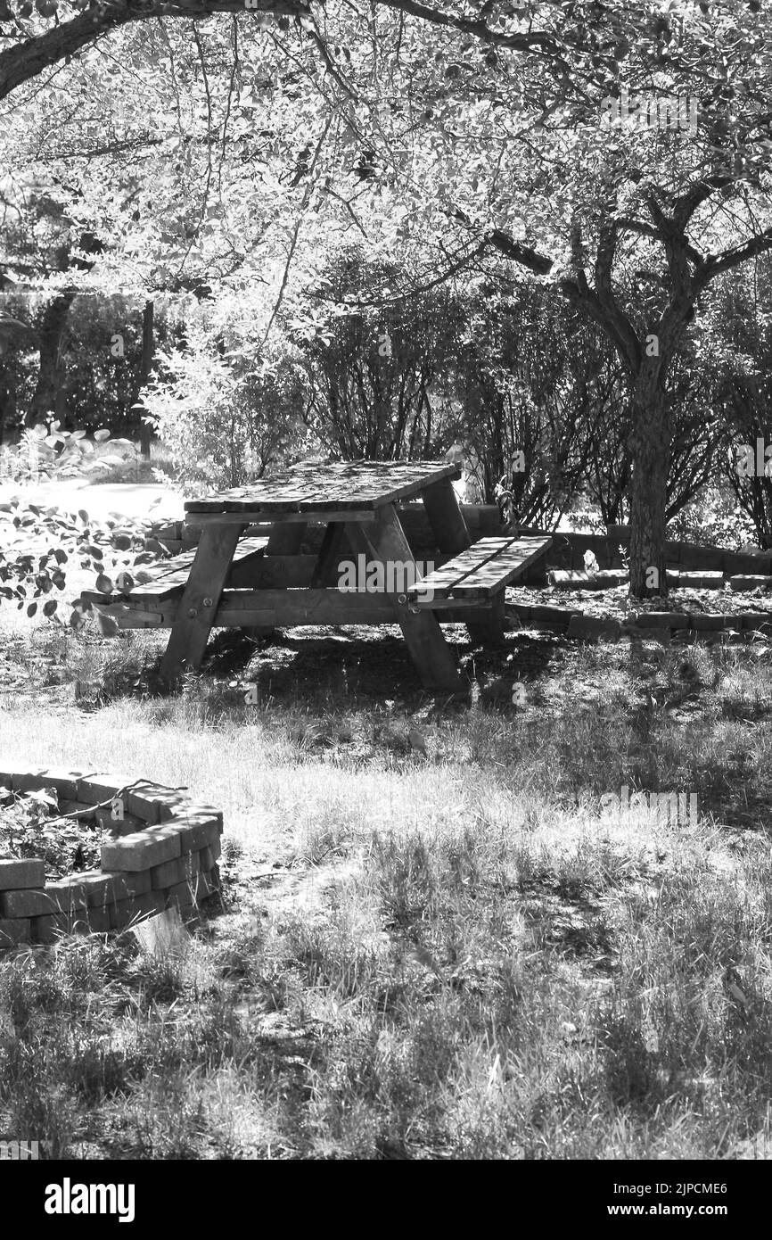 Typical common wooden picnic table standing in the sunny summer meadow