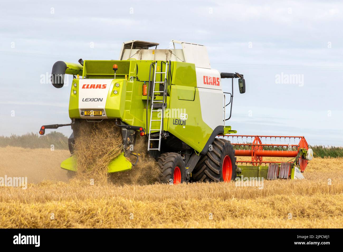 Claas Lexion 8900 The world's biggest harvester in Tarleton, Lancashire.  UK Weather. August 2022. Claus Combine Harvester contractor in demand in rural Lancashire as rain is forecast within the next 24 hours.  It takes around 2 months for barley to grow large enough to harvest and have the largest yield of grains. When the stalks turn completely golden yellow, the moisture levels in the barley are lower and they are easier to cut down.  There is an old adage when growing barley.  'When it looks ready to harvest - wait a month.' Stock Photo