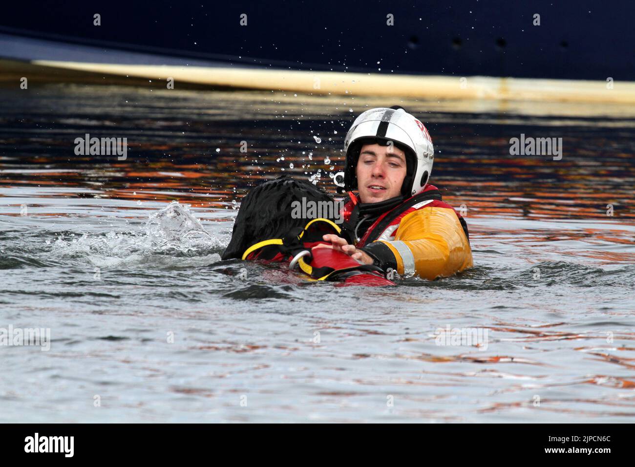 Girvan , Ayrshire, Scotland, UK .Newfoundland Dog Finn shows his life