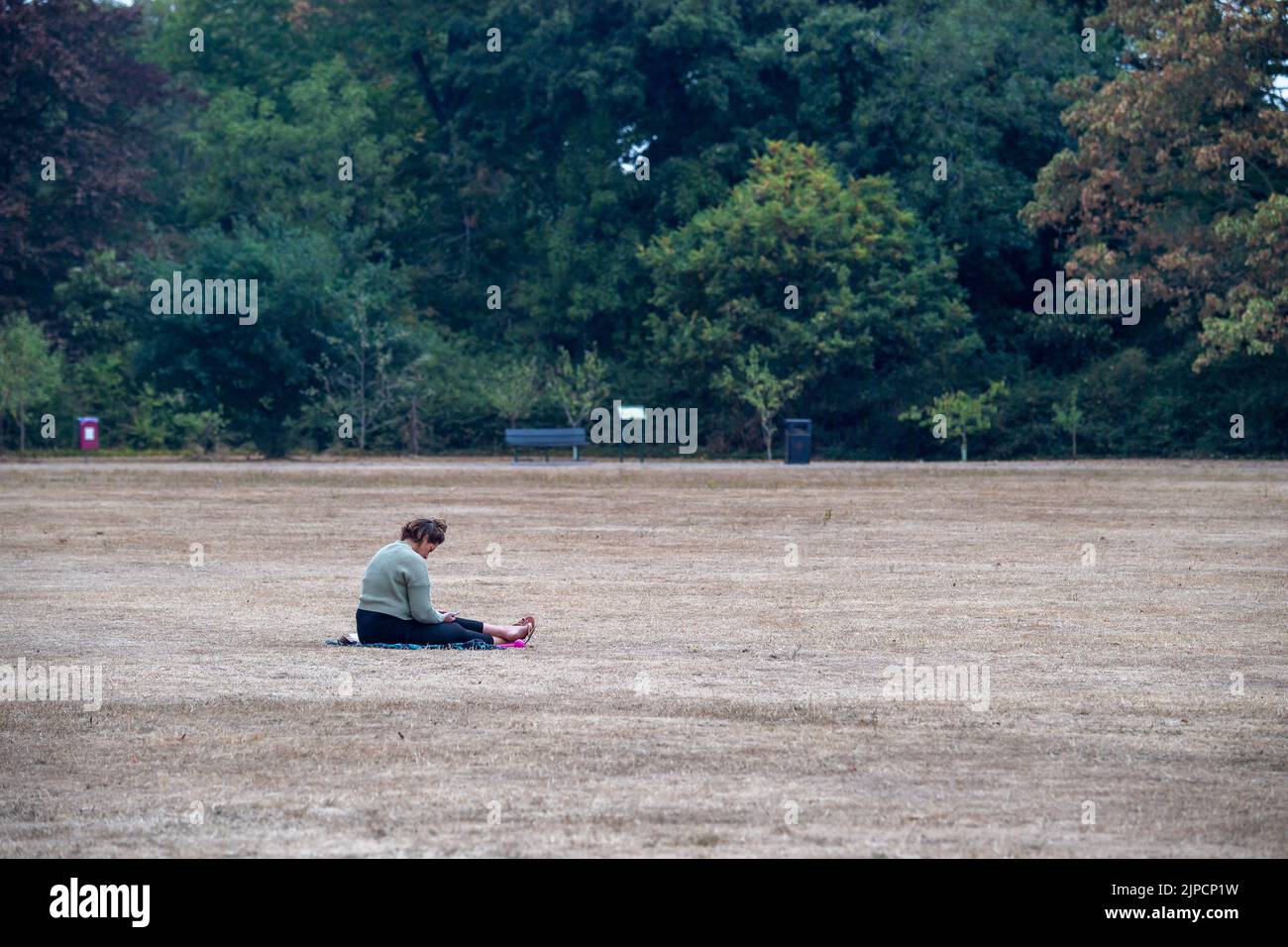 Burnham, Buckinghamshire, UK. 16th August, 2022. A lady sits on parched grass in Burnham Park on a cooler but muggy day. Credit: Maureen McLean/Alamy Live News Stock Photo