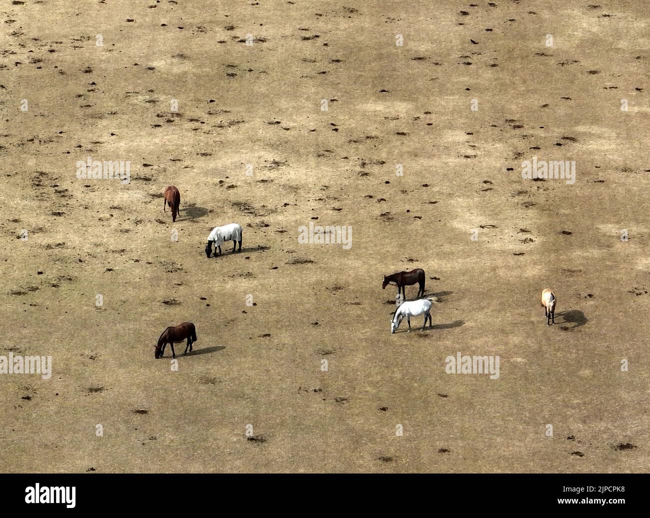 Anglian water 2022 hires stock photography and images Alamy