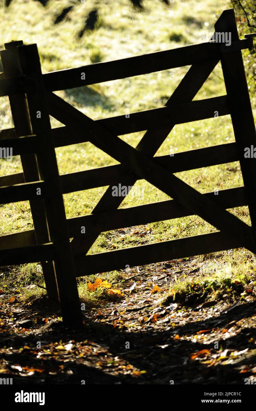 Countryside Gateway in woodland with strong shadows cast on fallen leaves Stock Photo