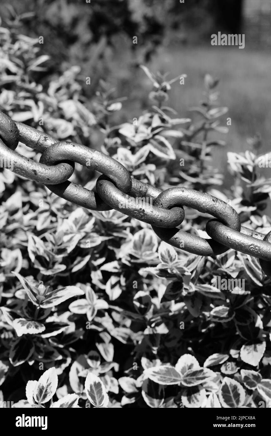 A taught rope of iron metal chain links with lots of holding power in ...