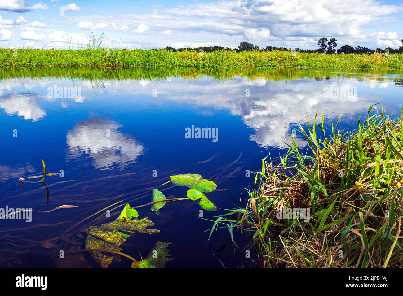 Idyll summer nature landscape, Biebrza river with clouds reflections in water, rushes and water plants. Countryside nature. Stock Photo