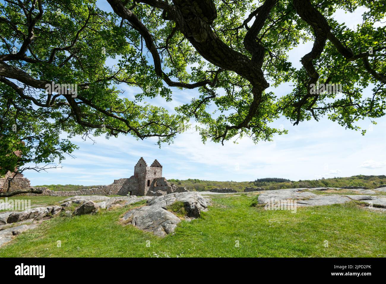 Hammershus is a medieval fortification on the northern tip of the Danish island of Bornholm. Stock Photo
