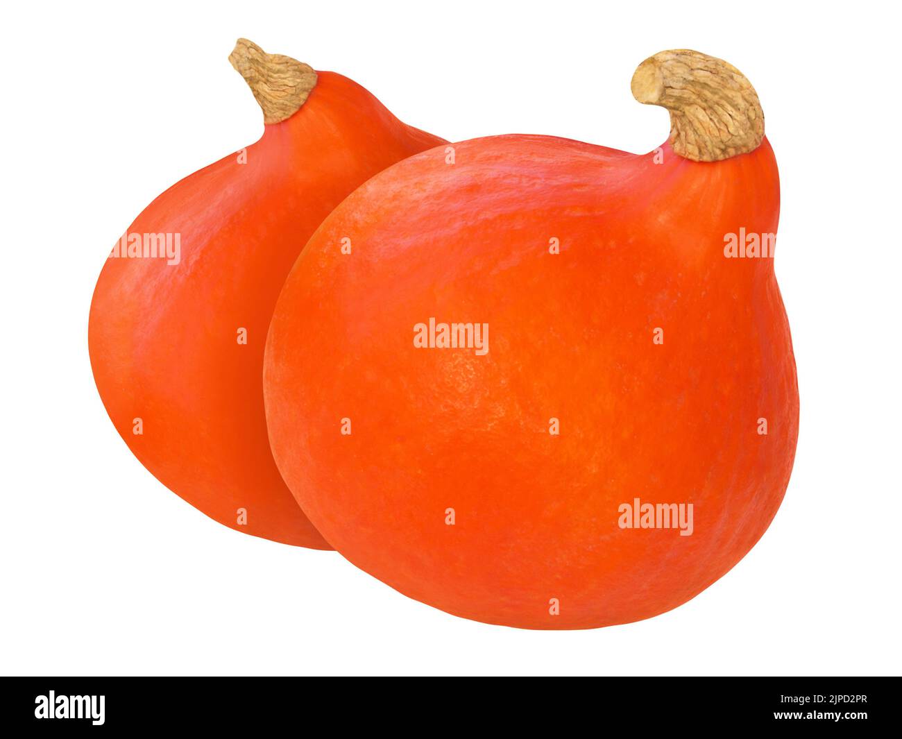 2 Hokkaido Pumpkins isolated on white background Stock Photo - Alamy