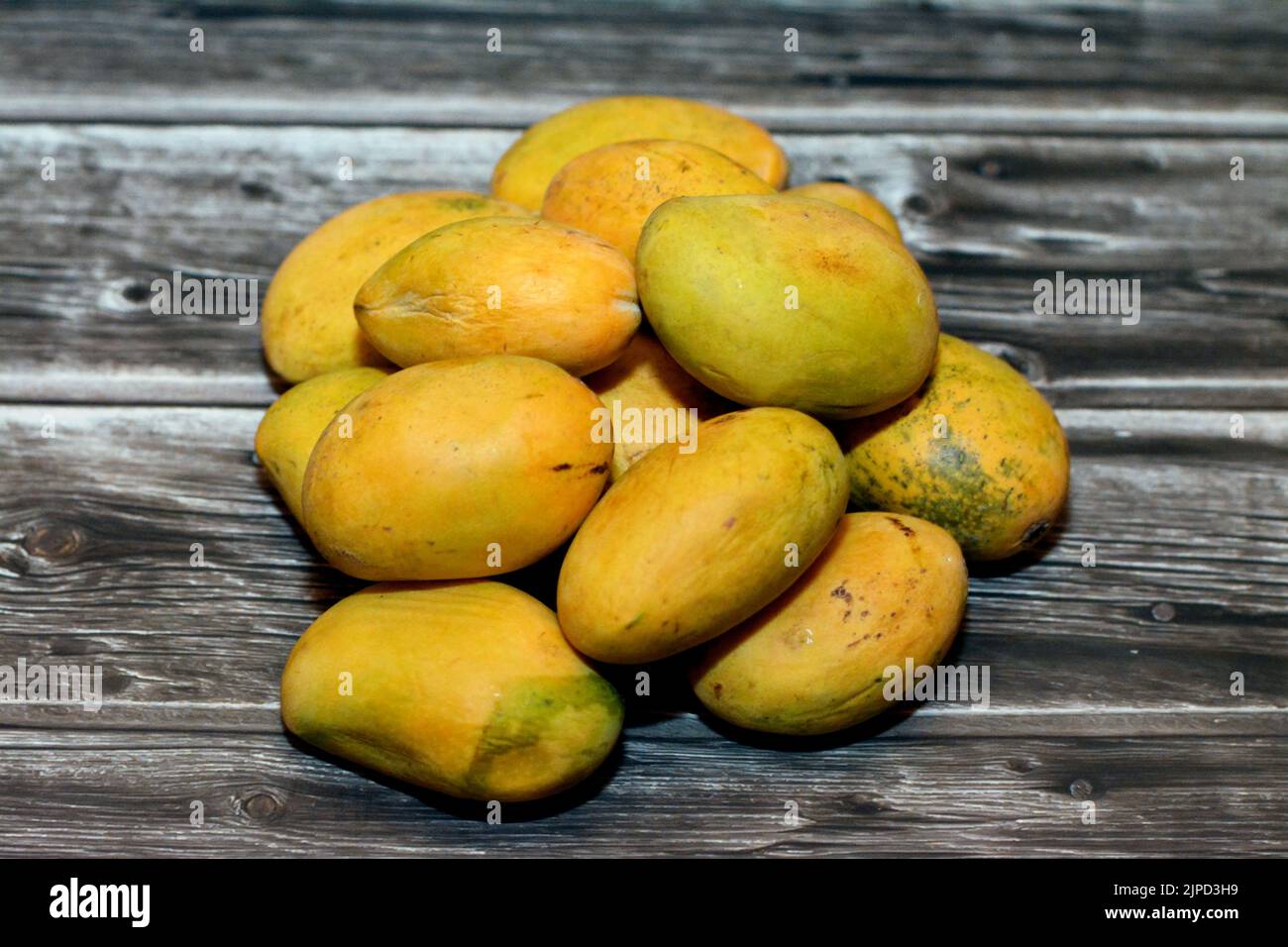 Pile of Egyptian fresh mango fruit with tropical delicacy, mangoes are