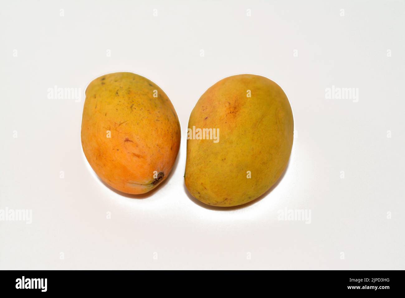 Egyptian fresh mango fruit with tropical delicacy, mangoes are