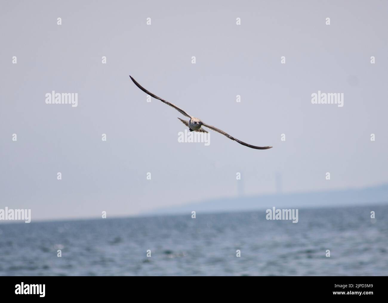 Flying over lake Ontario on a hot summer day Stock Photo