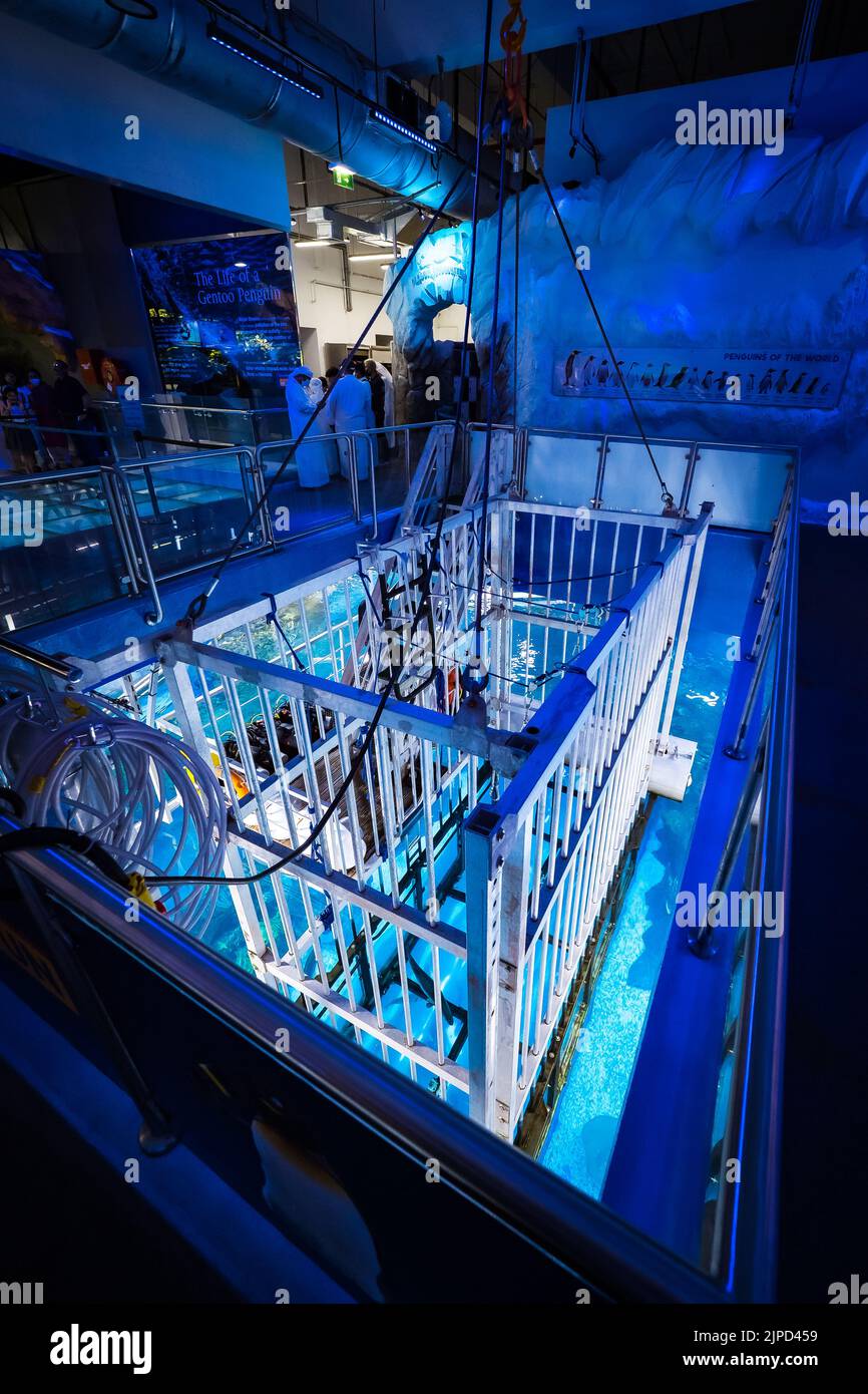 View of the steel shark cage for diving in the huge fish tank of the Dubai Aquarium and Underwater Zoo in Dubai, UAE Stock Photo