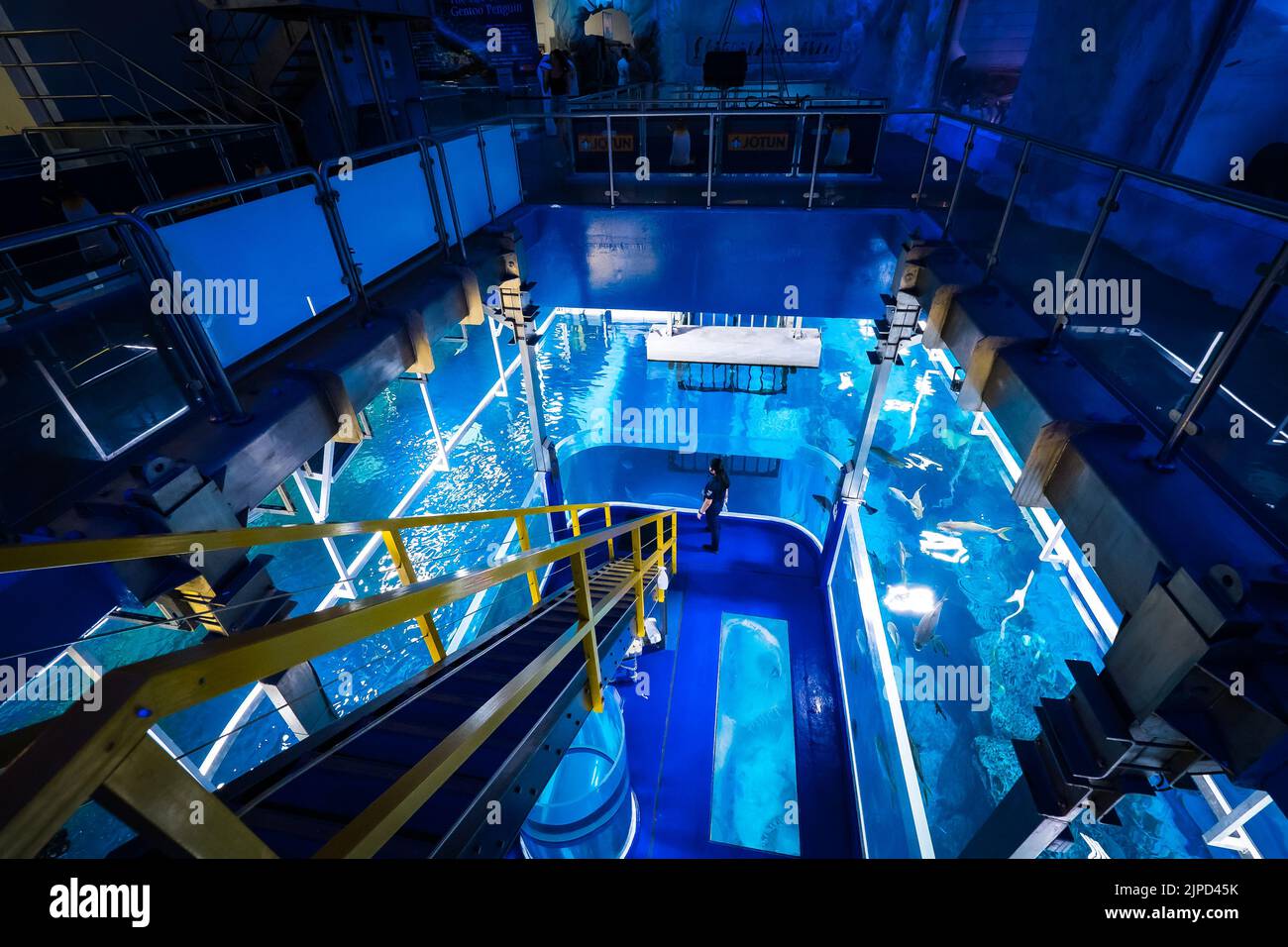 High angle view of the fish feeding platform in the Underwater Zoo at