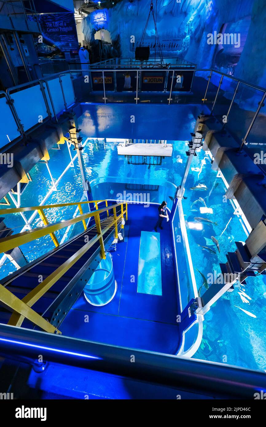 High angle view of the fish feeding platform in the Underwater Zoo at