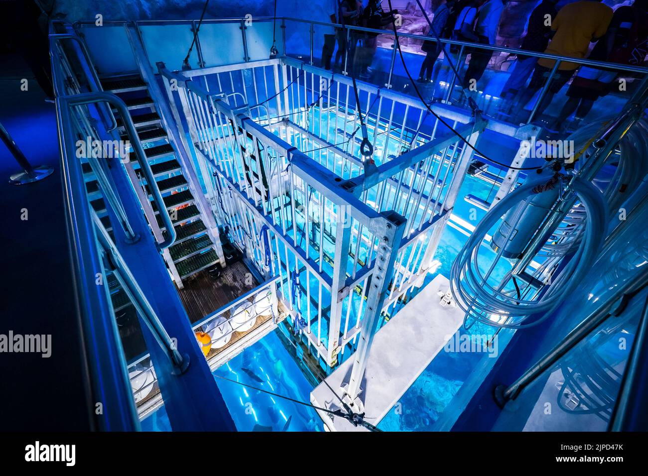 View of the steel shark cage for diving in the huge fish tank of the