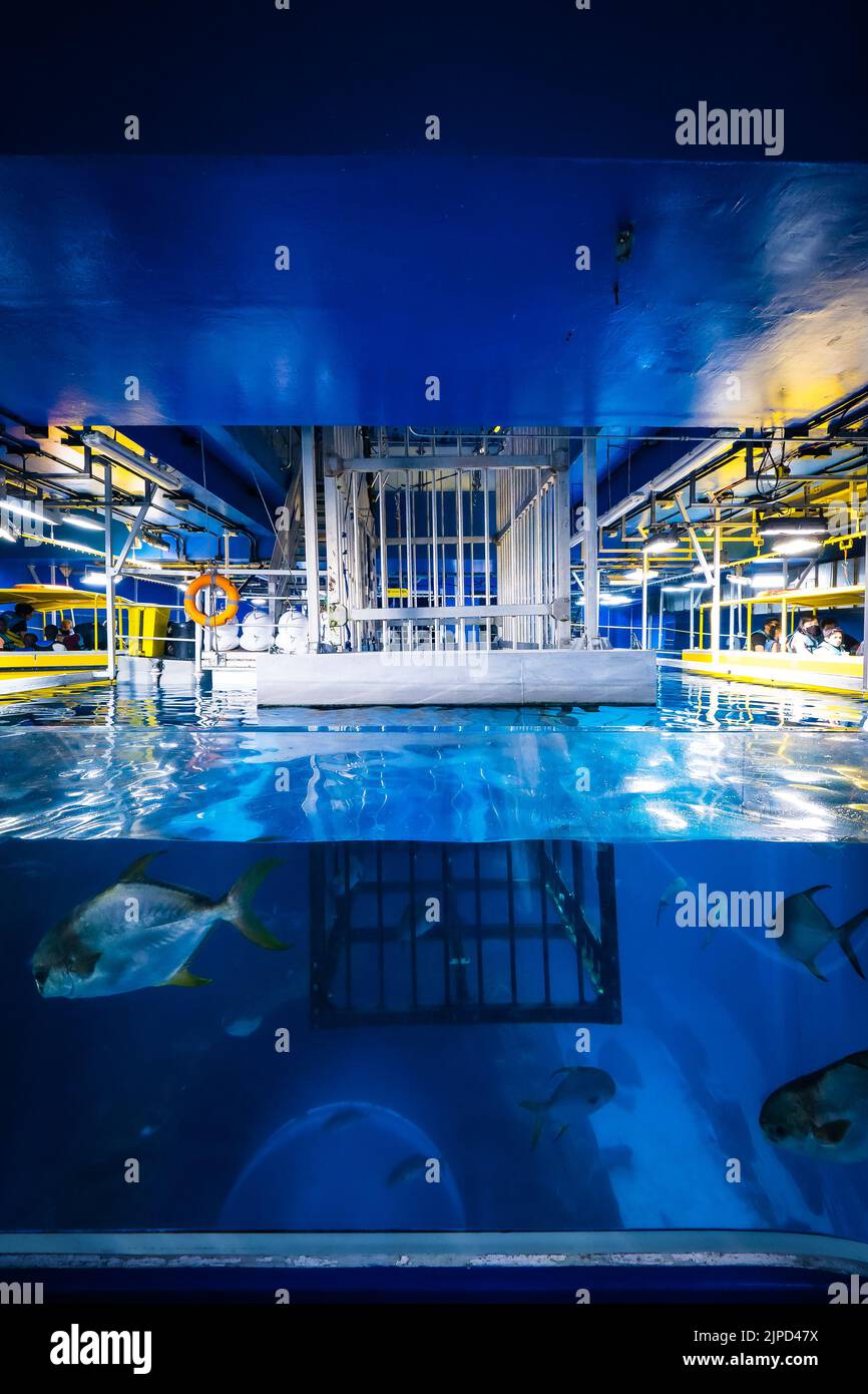 View of the steel shark cage for diving in the huge fish tank of the
