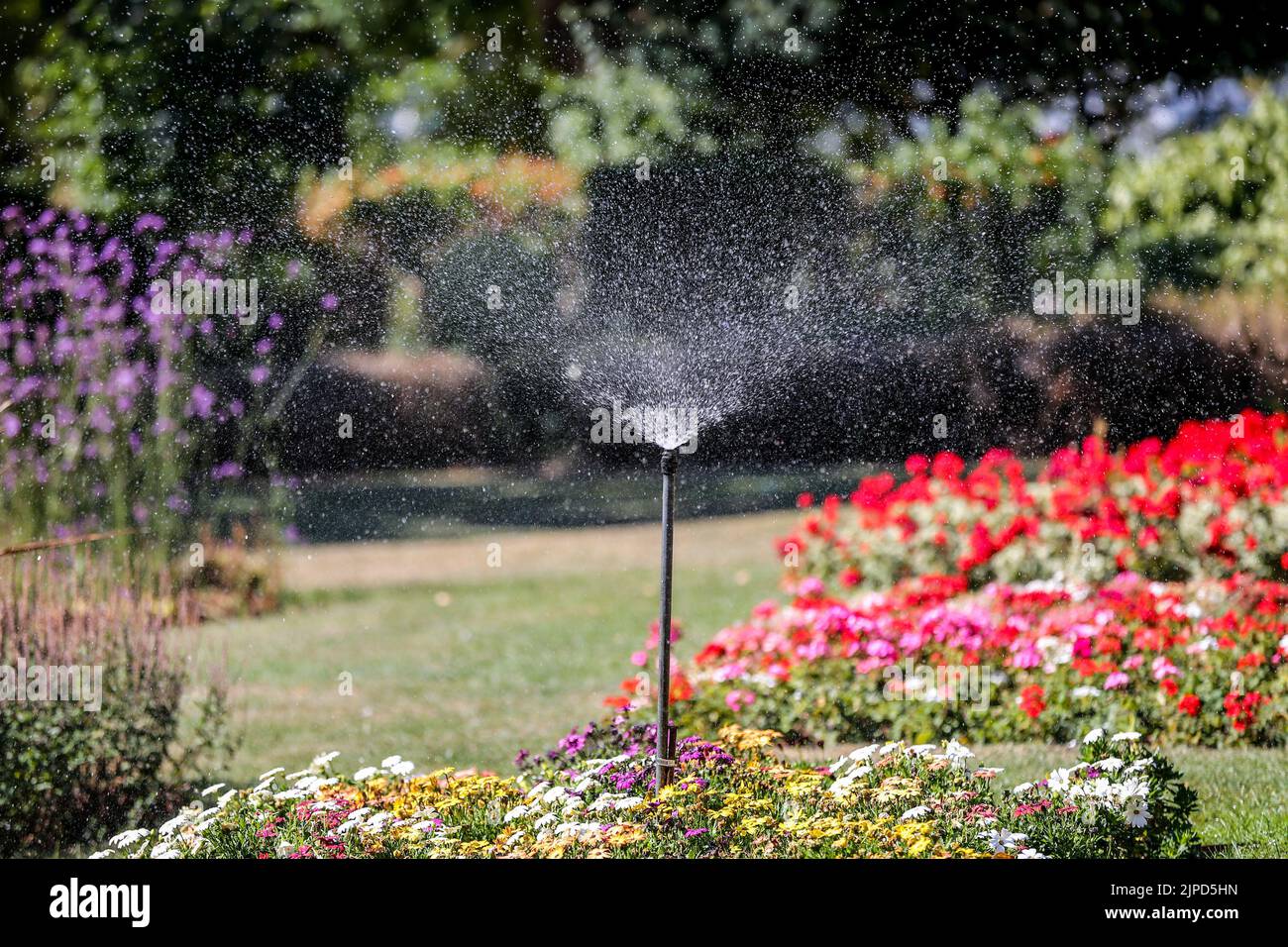 London, UK. 11th Aug, 2022. A sprinkler seen watering flowers in London. Thames Water has announced that a hosepipe and sprinkler ban will come into force from 24 August 2022 that will affect over 10 million customers across the south of England. Credit: SOPA Images Limited/Alamy Live News Stock Photo