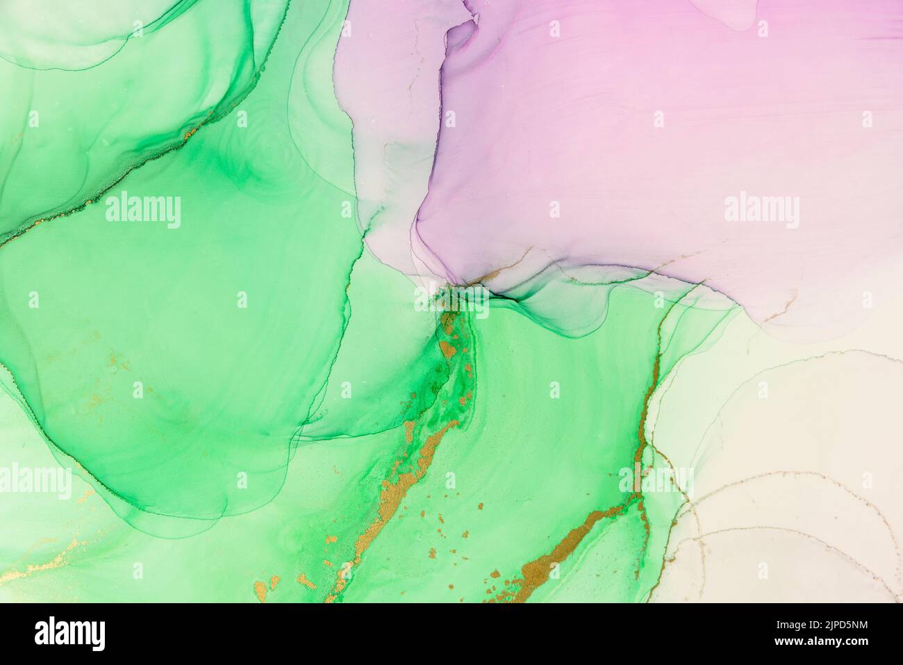 Abstract alcohol ink fluid art background. Green and purple color with ...