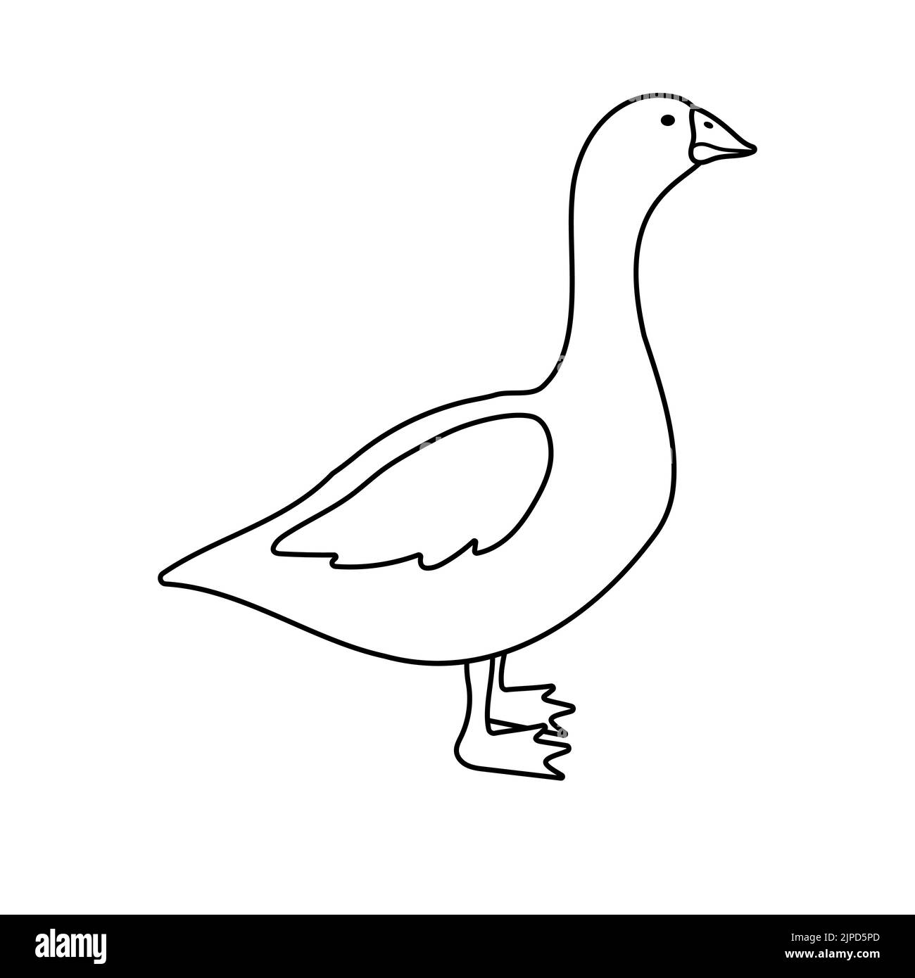 Cartoon goose Black and White Stock Photos & Images - Alamy