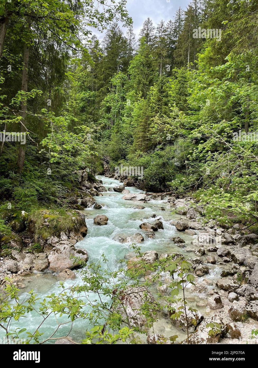 Nature in Berchtesgaden Bavaria Spring has sprung Stock Photo