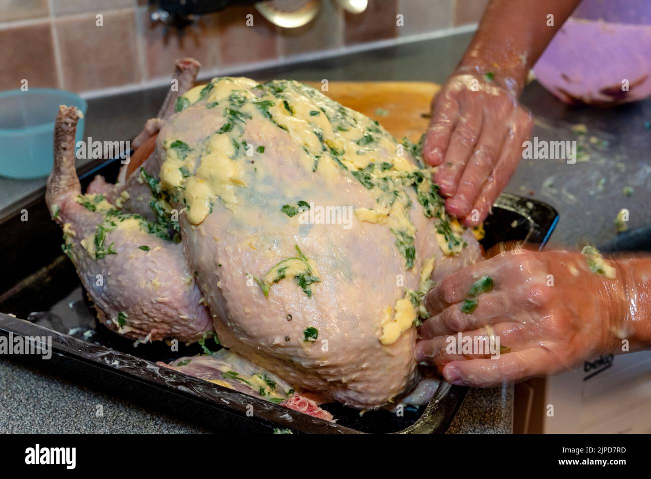 An Organic Turkey Being Prepared For Christmas Lunch, Sussex, UK Stock Photo