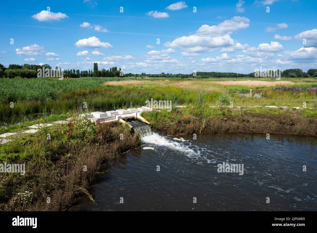 Polder nature reserve at the River Dyle around Duffel, ANtwerp,  Belgium Stock Photo