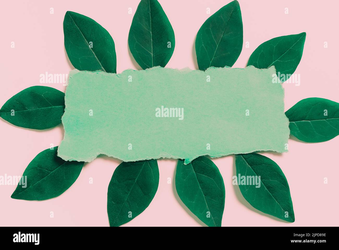 Replacing Old Wallpaper Design, Creating New Wall Pattern And Layout Stock Photo Alamy