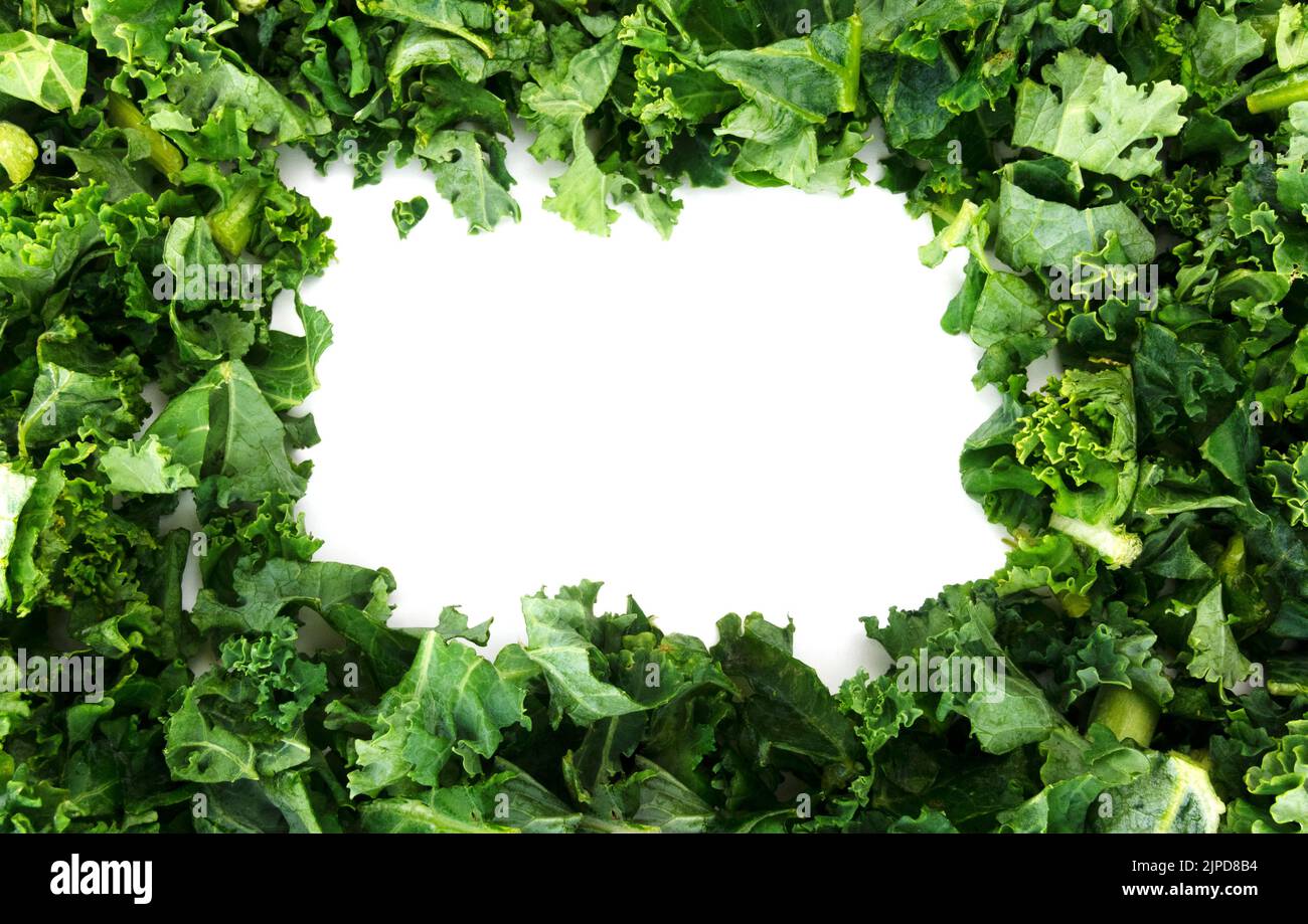 Chopped curly kale veggie background pattern with white empty blank frame. Stock Photo