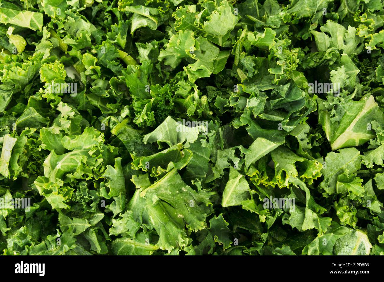 Green Leafy Kale Vegetable Background Stock Photo - Alamy