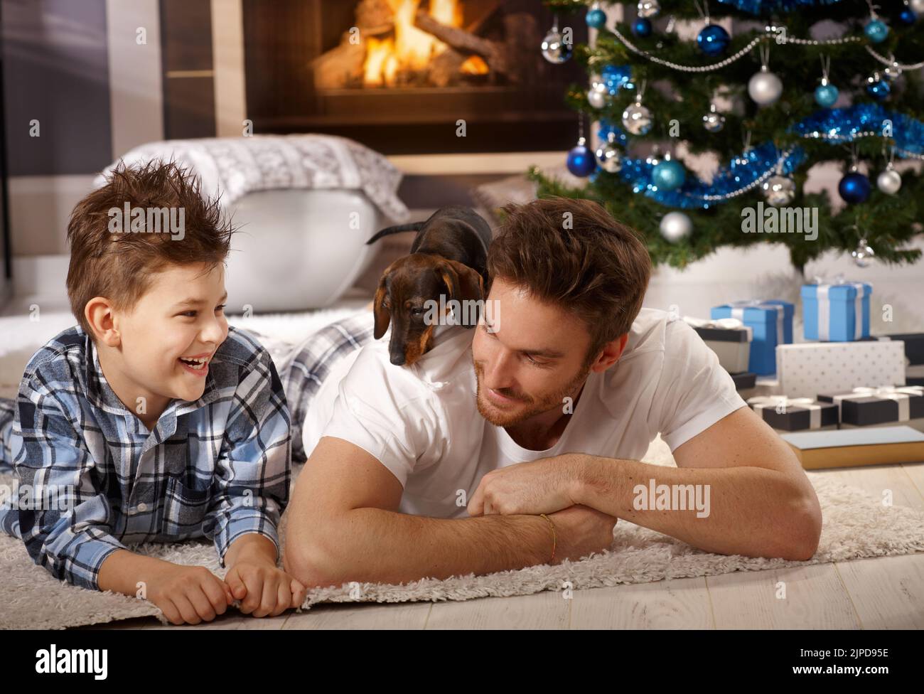 father, home, dachshund, son, christmas present, dad, fathers, homes, dachshunds, sons, christmas gift, christmas presents Stock Photo
