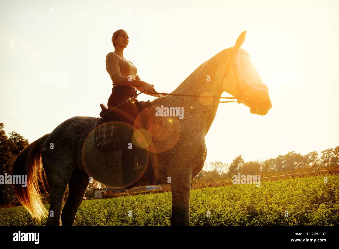 rider woman with whip is sitting on hay Stock Photo - Alamy